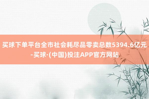 买球下单平台全市社会耗尽品零卖总数5394.6亿元-买球·(中国)投注APP官方网站