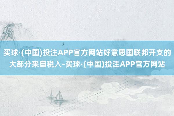 买球·(中国)投注APP官方网站好意思国联邦开支的大部分来自税入-买球·(中国)投注APP官方网站