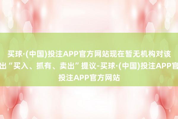 买球·(中国)投注APP官方网站现在暂无机构对该股作念出“买入、抓有、卖出”提议-买球·(中国)投注APP官方网站