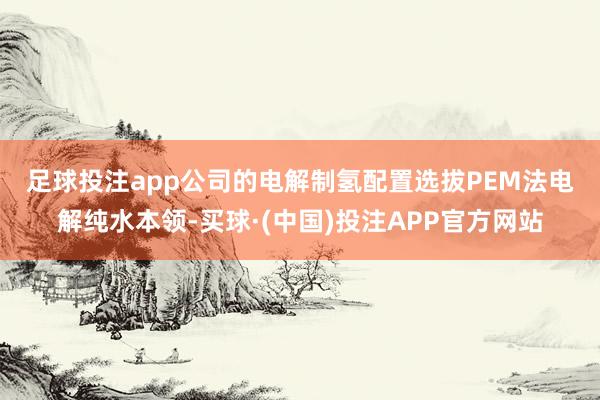 足球投注app　　公司的电解制氢配置选拔PEM法电解纯水本领-买球·(中国)投注APP官方网站