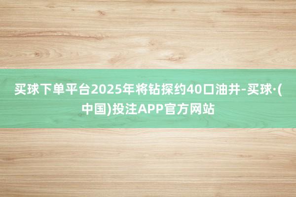 买球下单平台2025年将钻探约40口油井-买球·(中国)投注APP官方网站