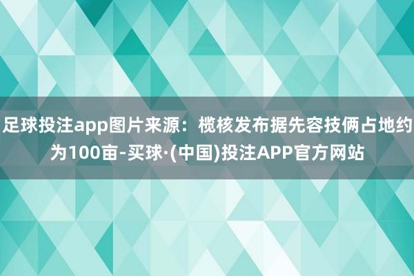 足球投注app图片来源：榄核发布据先容技俩占地约为100亩-买球·(中国)投注APP官方网站