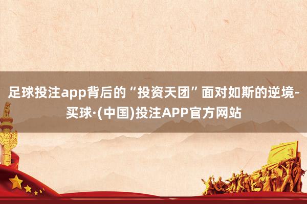 足球投注app背后的“投资天团”面对如斯的逆境-买球·(中国)投注APP官方网站