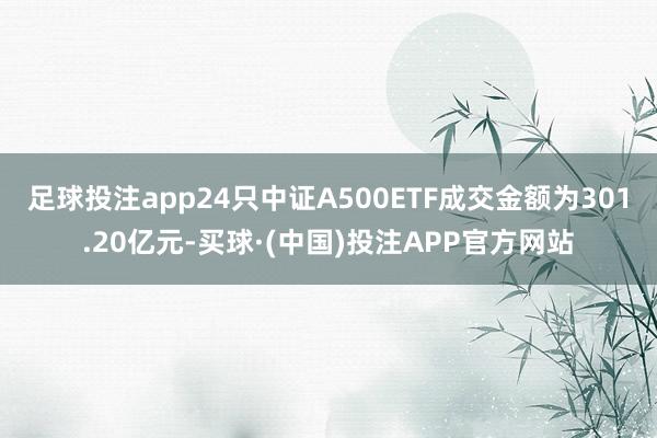 足球投注app24只中证A500ETF成交金额为301.20亿元-买球·(中国)投注APP官方网站