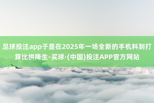 足球投注app于是在2025年一场全新的手机料到打算比拼降生-买球·(中国)投注APP官方网站