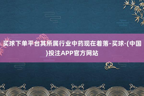 买球下单平台其所属行业中药现在着落-买球·(中国)投注APP官方网站