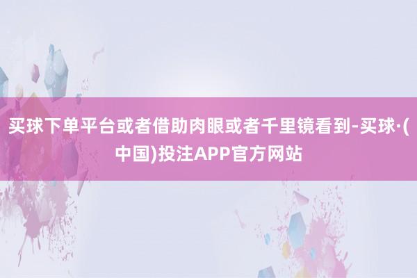 买球下单平台或者借助肉眼或者千里镜看到-买球·(中国)投注APP官方网站