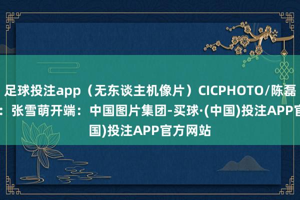 足球投注app（无东谈主机像片）CICPHOTO/陈磊 摄　　剪辑：张雪萌　　开端：中国图片集团-买球·(中国)投注APP官方网站