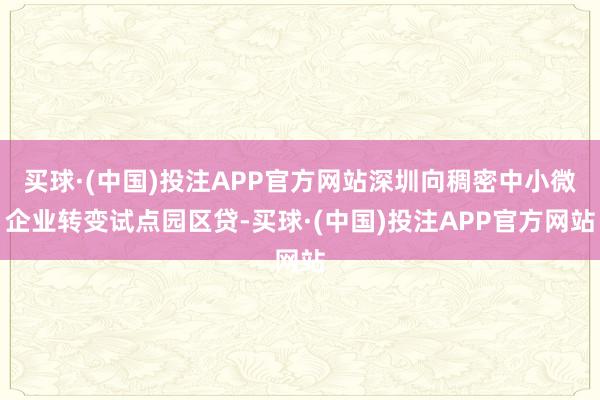 买球·(中国)投注APP官方网站深圳向稠密中小微企业转变试点园区贷-买球·(中国)投注APP官方网站