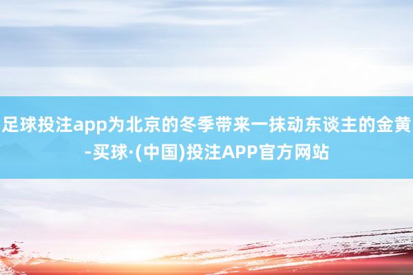足球投注app为北京的冬季带来一抹动东谈主的金黄-买球·(中国)投注APP官方网站