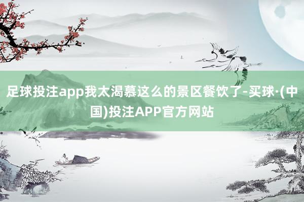 足球投注app我太渴慕这么的景区餐饮了-买球·(中国)投注APP官方网站