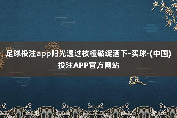足球投注app阳光透过枝桠破绽洒下-买球·(中国)投注APP官方网站