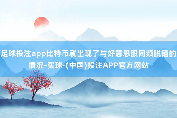 足球投注app比特币就出现了与好意思股同频脱锚的情况-买球·(中国)投注APP官方网站