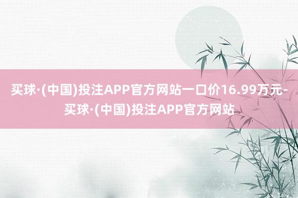 买球·(中国)投注APP官方网站一口价16.99万元-买球·(中国)投注APP官方网站