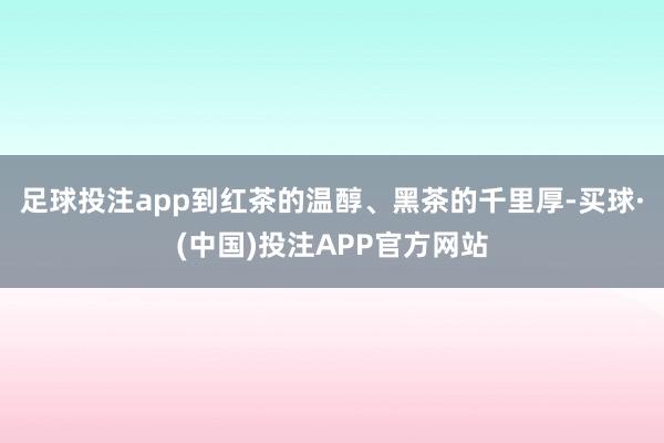 足球投注app到红茶的温醇、黑茶的千里厚-买球·(中国)投注APP官方网站