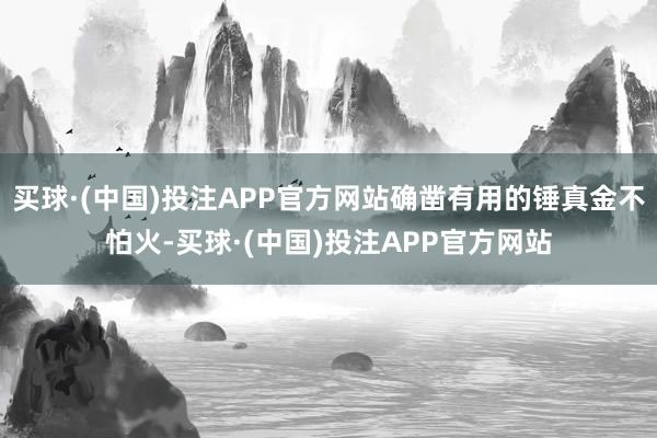 买球·(中国)投注APP官方网站确凿有用的锤真金不怕火-买球·(中国)投注APP官方网站