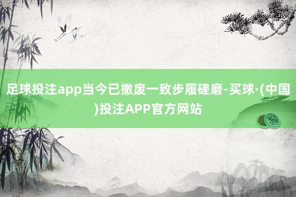 足球投注app当今已撤废一致步履磋磨-买球·(中国)投注APP官方网站