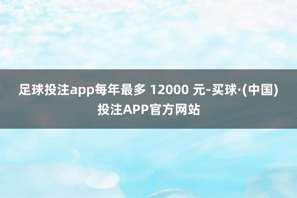 足球投注app每年最多 12000 元-买球·(中国)投注APP官方网站