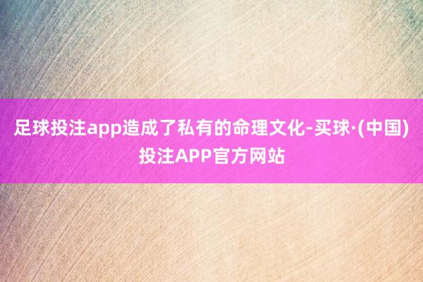 足球投注app造成了私有的命理文化-买球·(中国)投注APP官方网站