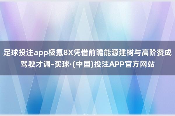 足球投注app极氪8X凭借前瞻能源建树与高阶赞成驾驶才调-买球·(中国)投注APP官方网站