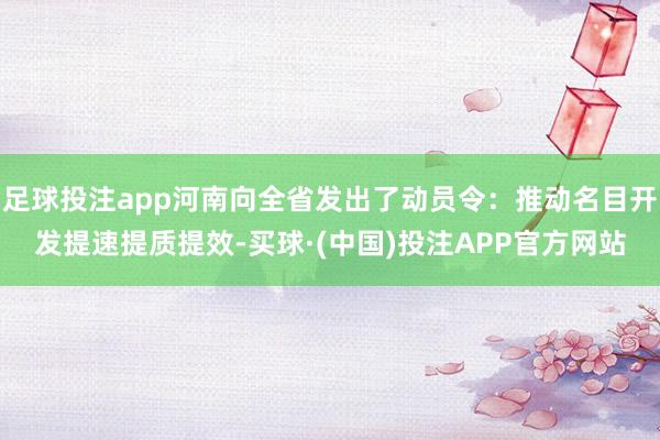 足球投注app河南向全省发出了动员令：推动名目开发提速提质提效-买球·(中国)投注APP官方网站