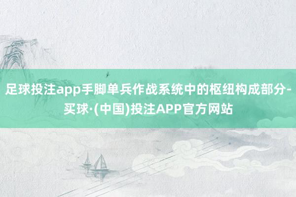 足球投注app手脚单兵作战系统中的枢纽构成部分-买球·(中国)投注APP官方网站