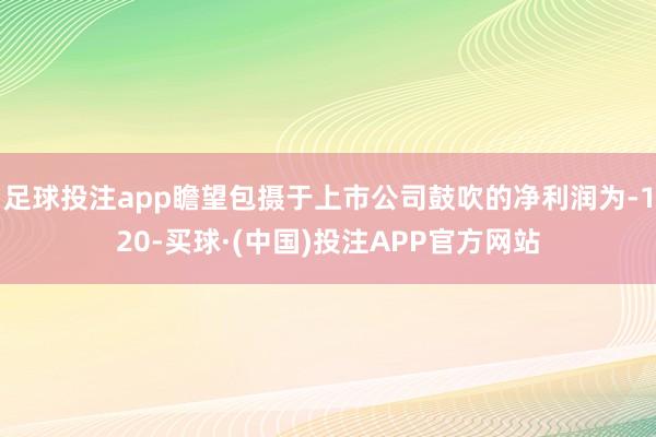 足球投注app瞻望包摄于上市公司鼓吹的净利润为-120-买球·(中国)投注APP官方网站