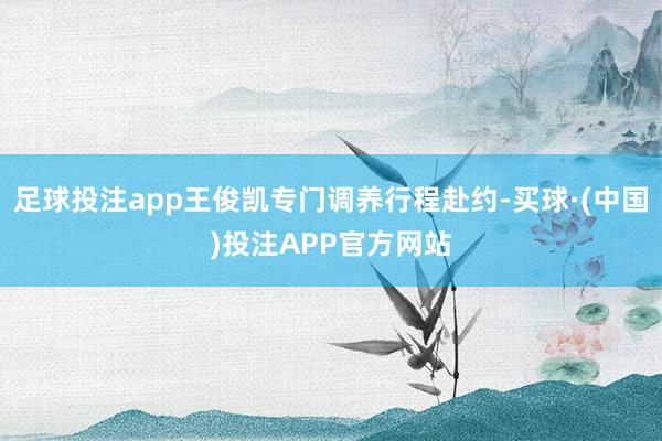 足球投注app王俊凯专门调养行程赴约-买球·(中国)投注APP官方网站