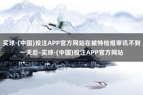 买球·(中国)投注APP官方网站在被特检组审讯不到一天后-买球·(中国)投注APP官方网站